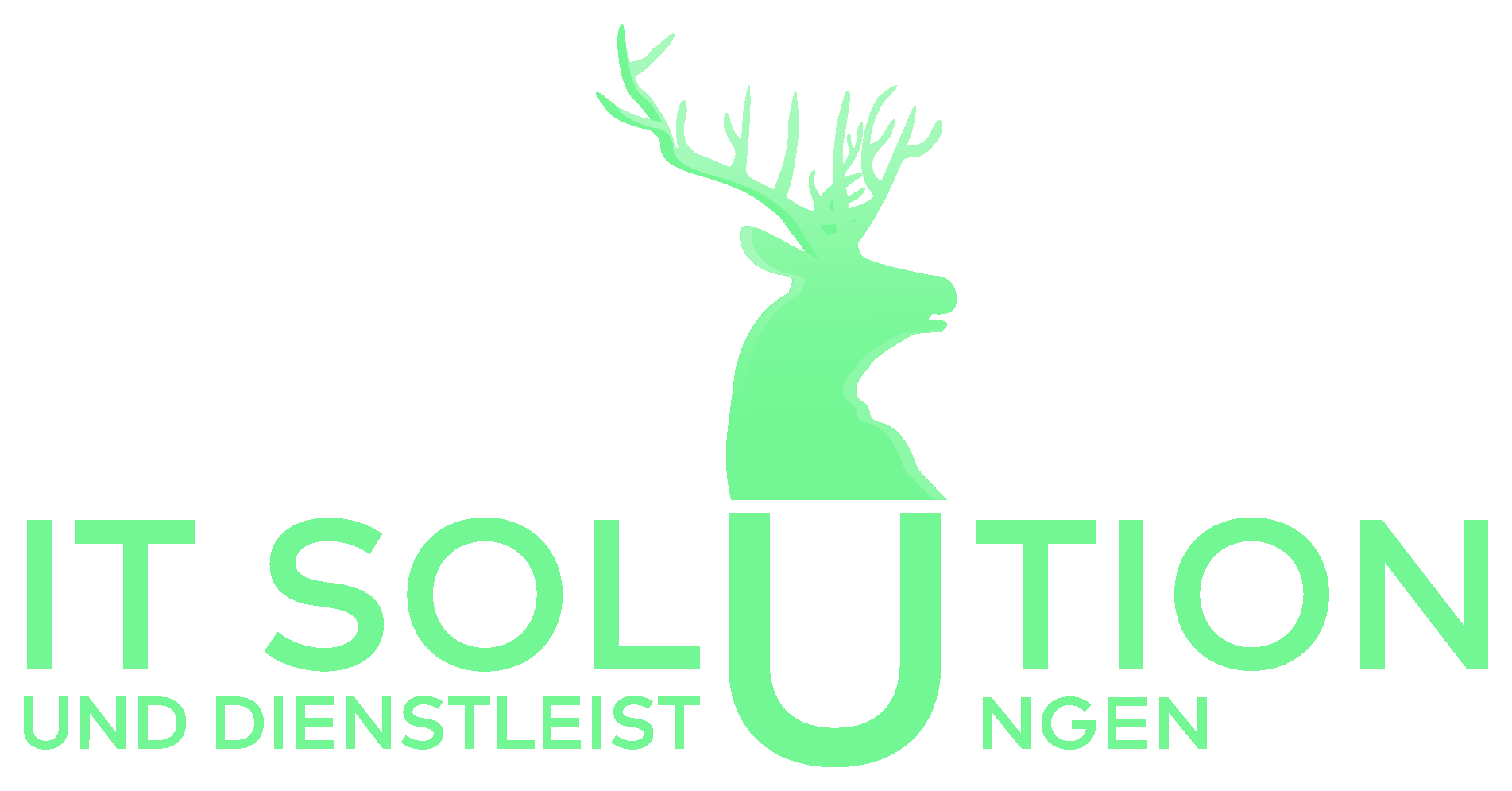 IT Solution und Dienstleistungen